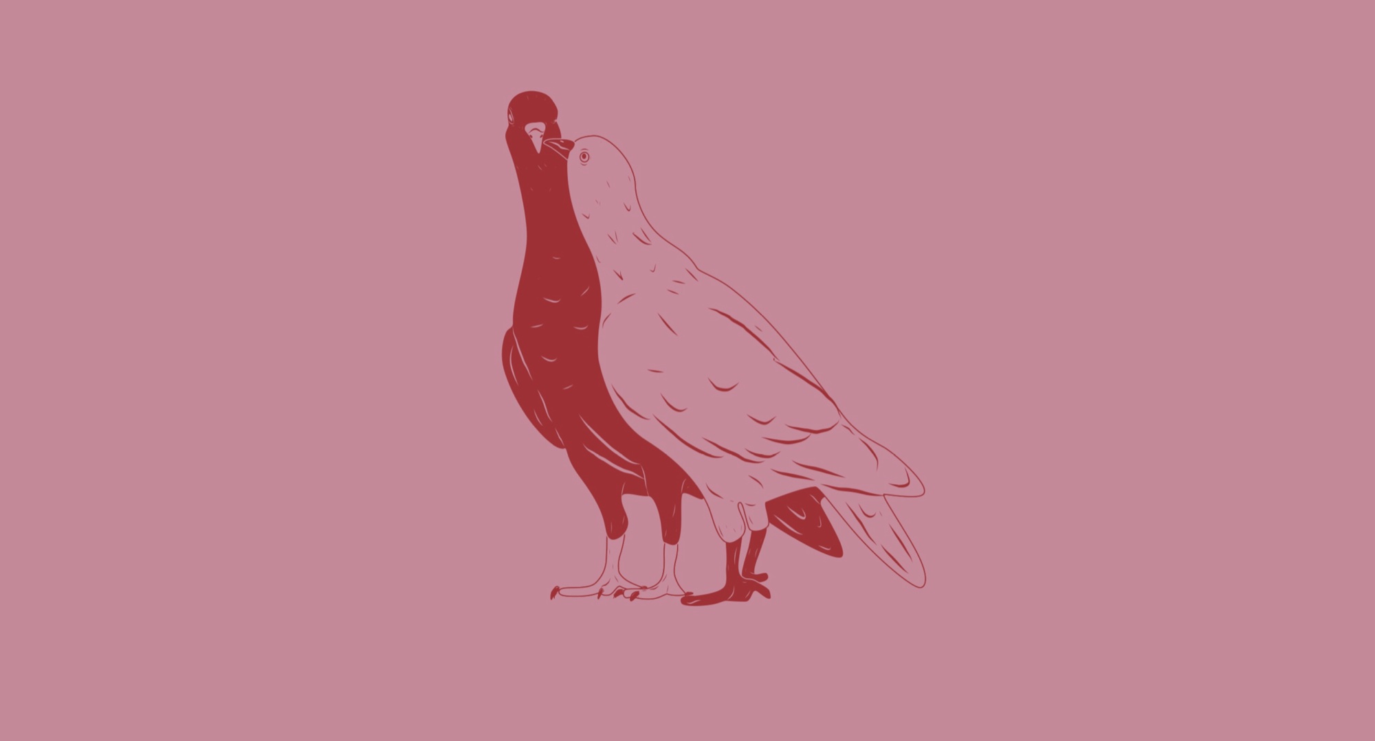 Illustration of two pigeons side by side, one red and one pink